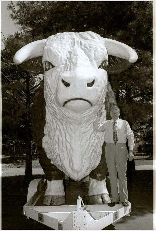 bull1.jpg